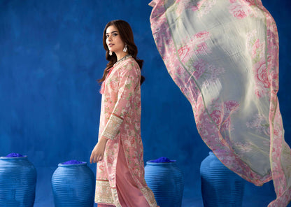 Orang Summer Vol 10 '25 D 02