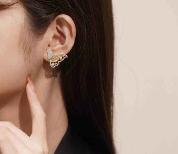 Korean Zircon And Pearl Butterfly Front Back Earrings | Luxury Look Artificial Earrings